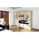 Шкаф-купе Миррор 1-2