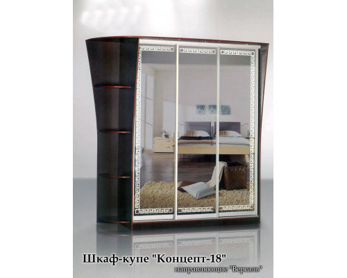 Шкаф-купе Концепт 18