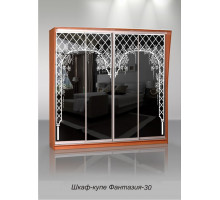 Шкаф-купе Фантазия 30