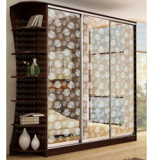 Шкаф-купе Аристо 14